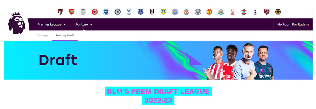 BLM'S PREM DRAFT LEAGUE (FPL) 2021/22 - Money League (£25 @ Team) - Fantasy  Sports - The Fan Pub