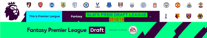 BLM's%20Prem%20Draft%20League%202018-19